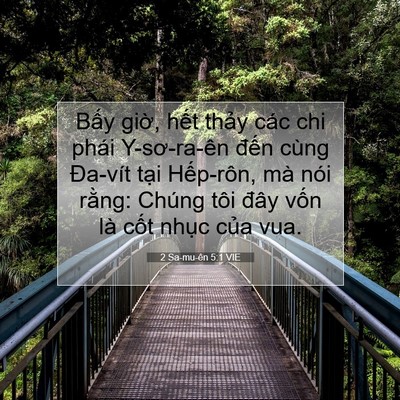 Picture 07 - 2 Sa-mu-ên 5:1 VIE - Bấy giờ, hết thảy các chi phái - Bible Verse Picture