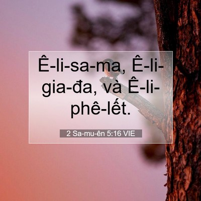Picture 07 - 2 Sa-mu-ên 5:16 VIE - Ê-li-sa-ma, Ê-li-gia-đa, và - Bible Verse Picture
