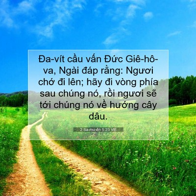 Picture 07 - 2 Sa-mu-ên 5:23 VIE - Đa-vít cầu vấn Đức Giê-hô-va, Ngài - Bible Verse Picture