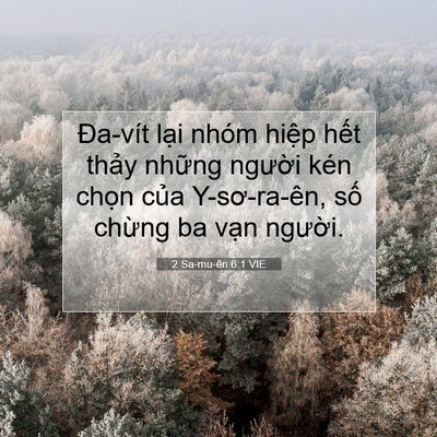Picture 07 - 2 Sa-mu-ên 6:1 VIE - Đa-vít lại nhóm hiệp hết thảy những - Bible Verse Picture