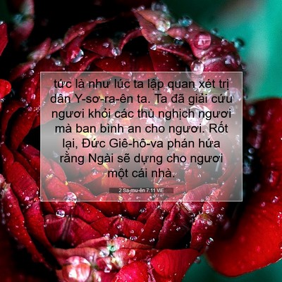 Picture 07 - 2 Sa-mu-ên 7:11 VIE - tức là như lúc ta lập quan xét trị dân - Bible Verse Picture