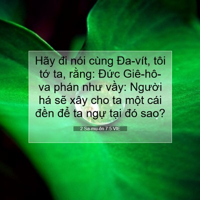 Picture 07 - 2 Sa-mu-ên 7:5 VIE - Hãy đi nói cùng Đa-vít, tôi tớ ta, - Bible Verse Picture