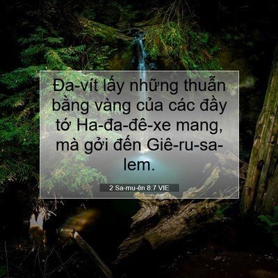 Picture 07 - 2 Sa-mu-ên 8:7 VIE - Đa-vít lấy những thuẫn bằng vàng của - Bible Verse Picture