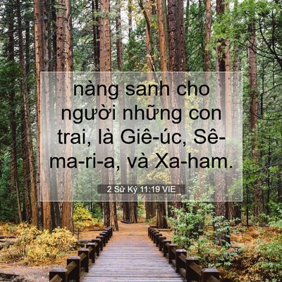 Picture 07 - 2 Sử Ký 11:19 VIE - nàng sanh cho người những con trai, là - Bible Verse Picture
