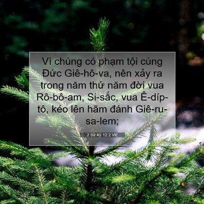 Picture 07 - 2 Sử Ký 12:2 VIE - Vì chúng có phạm tội cùng Đức - Bible Verse Picture