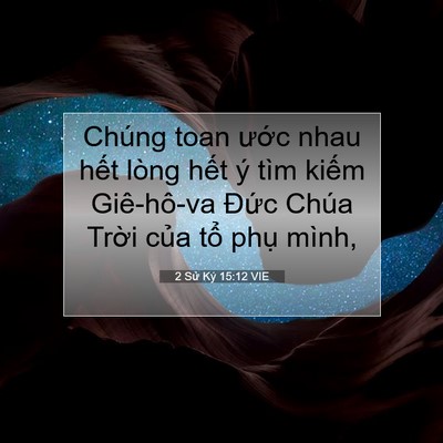 Picture 07 - 2 Sử Ký 15:12 VIE - Chúng toan ước nhau hết lòng hết ý tìm - Bible Verse Picture