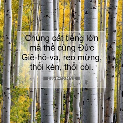 Picture 07 - 2 Sử Ký 15:14 VIE - Chúng cất tiếng lớn mà thề cùng Đức - Bible Verse Picture