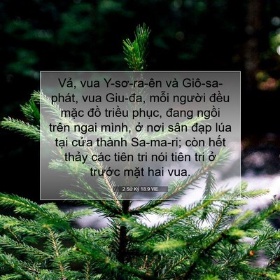 Picture 07 - 2 Sử Ký 18:9 VIE - Vả, vua Y-sơ-ra-ên và Giô-sa-phát, vua - Bible Verse Picture