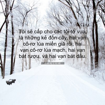 Picture 07 - 2 Sử Ký 2:10 VIE - Tôi sẽ cấp cho các tôi tớ vua, là - Bible Verse Picture