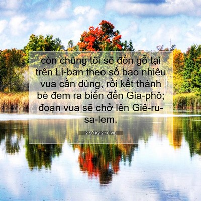 Picture 07 - 2 Sử Ký 2:16 VIE - còn chúng tôi sẽ đốn gỗ tại trên - Bible Verse Picture