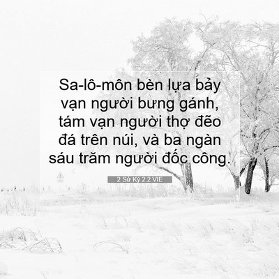 Picture 07 - 2 Sử Ký 2:2 VIE - Sa-lô-môn bèn lựa bảy vạn người bưng - Bible Verse Picture