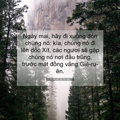 Picture 07 - 2 Sử Ký 20:16 VIE - Ngày mai, hãy đi xuống đón chúng nó: - Bible Verse Picture