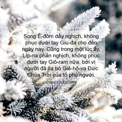 Picture 07 - 2 Sử Ký 21:10 VIE - Song Ê-đôm dấy nghịch, không phục - Bible Verse Picture