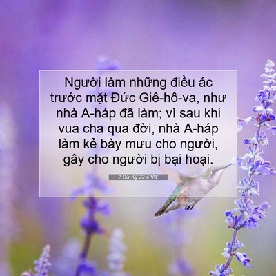 Picture 07 - 2 Sử Ký 22:4 VIE - Người làm những điều ác trước mặt - Bible Verse Picture