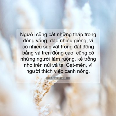 Picture 07 - 2 Sử Ký 26:10 VIE - Người cũng cất những tháp trong đồng - Bible Verse Picture