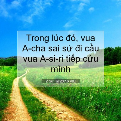 Picture 07 - 2 Sử Ký 28:16 VIE - Trong lúc đó, vua A-cha sai sứ đi cầu vua - Bible Verse Picture