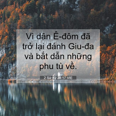 Picture 07 - 2 Sử Ký 28:17 VIE - Vì dân Ê-đôm đã trở lại đánh Giu-đa - Bible Verse Picture