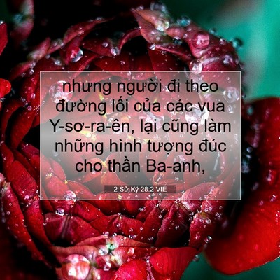 Picture 07 - 2 Sử Ký 28:2 VIE - nhưng người đi theo đường lối của - Bible Verse Picture