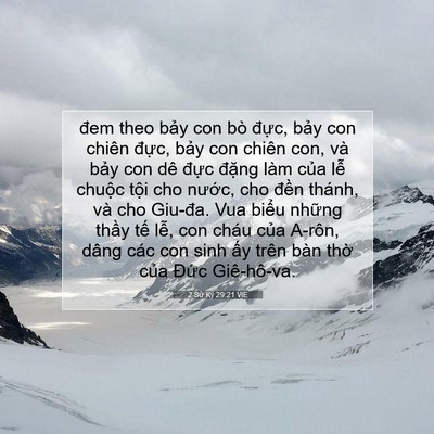 Picture 07 - 2 Sử Ký 29:21 VIE - đem theo bảy con bò đực, bảy con chiên - Bible Verse Picture