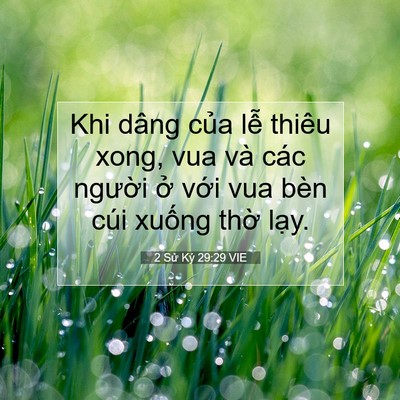 Picture 07 - 2 Sử Ký 29:29 VIE - Khi dâng của lễ thiêu xong, vua và các - Bible Verse Picture