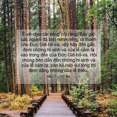 Picture 07 - 2 Sử Ký 29:31 VIE - Ê-xê-chia cất tiếng nói rằng: Bây giờ - Bible Verse Picture