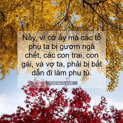 Picture 07 - 2 Sử Ký 29:9 VIE - Nầy, vì cớ ấy mà các tổ phụ ta bị - Bible Verse Picture