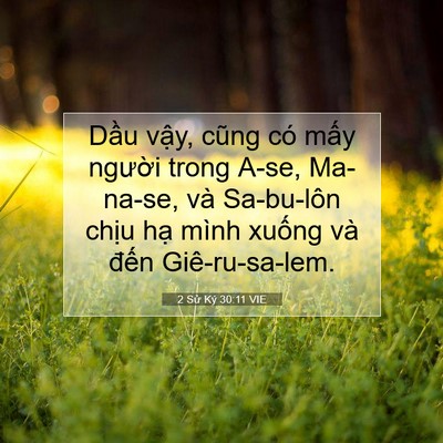 Picture 07 - 2 Sử Ký 30:11 VIE - Dầu vậy, cũng có mấy người trong A-se, - Bible Verse Picture