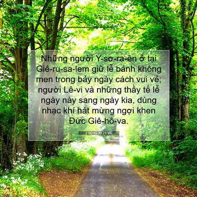 Picture 07 - 2 Sử Ký 30:21 VIE - Những người Y-sơ-ra-ên ở tại - Bible Verse Picture
