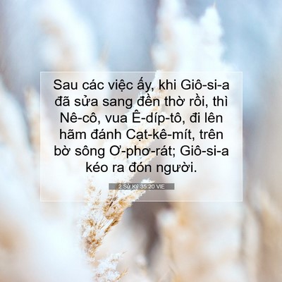 Picture 07 - 2 Sử Ký 35:20 VIE - Sau các việc ấy, khi Giô-si-a đã sửa - Bible Verse Picture