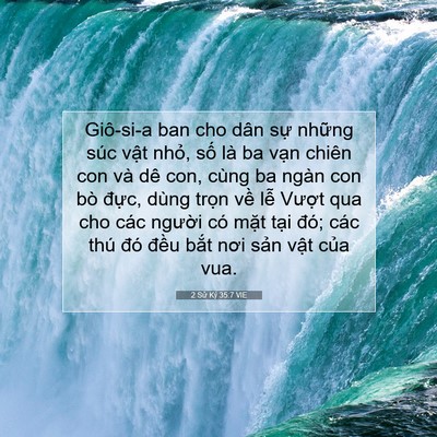 Picture 07 - 2 Sử Ký 35:7 VIE - Giô-si-a ban cho dân sự những súc vật - Bible Verse Picture