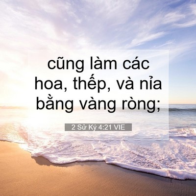 Picture 07 - 2 Sử Ký 4:21 VIE - cũng làm các hoa, thếp, và nỉa bằng - Bible Verse Picture