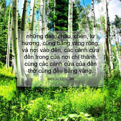 Picture 07 - 2 Sử Ký 4:22 VIE - những dao, chậu, chén, lư hương, cũng - Bible Verse Picture