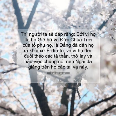Picture 07 - 2 Sử Ký 7:22 VIE - Thì người ta sẽ đáp rằng: Bởi vì - Bible Verse Picture
