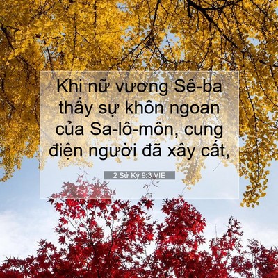 Picture 07 - 2 Sử Ký 9:3 VIE - Khi nữ vương Sê-ba thấy sự khôn ngoan - Bible Verse Picture