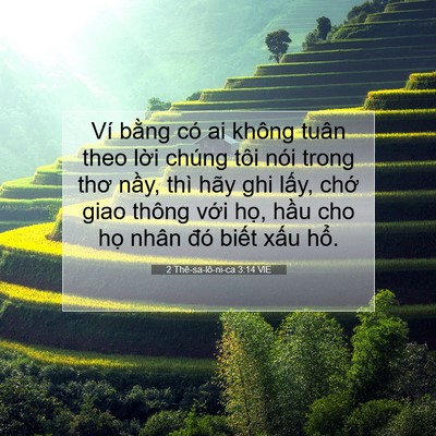Picture 07 - 2 Thê-sa-lô-ni-ca 3:14 VIE - Ví bằng có ai không tuân theo lời chúng - Bible Verse Picture