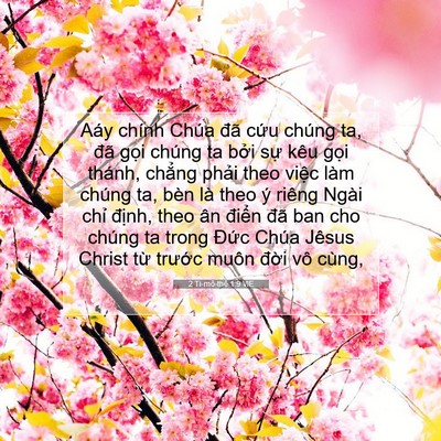 Picture 07 - 2 Ti-mô-thê 1:9 VIE - Aáy chính Chúa đã cứu chúng ta, đã - Bible Verse Picture