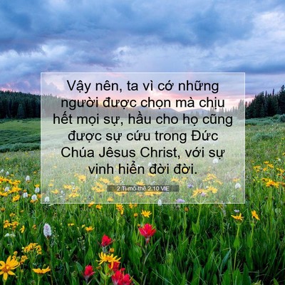 Picture 07 - 2 Ti-mô-thê 2:10 VIE - Vậy nên, ta vì cớ những người được - Bible Verse Picture