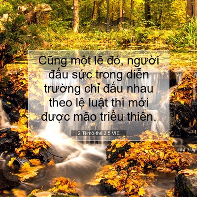 Picture 07 - 2 Ti-mô-thê 2:5 VIE - Cũng một lẽ đó, người đấu sức - Bible Verse Picture