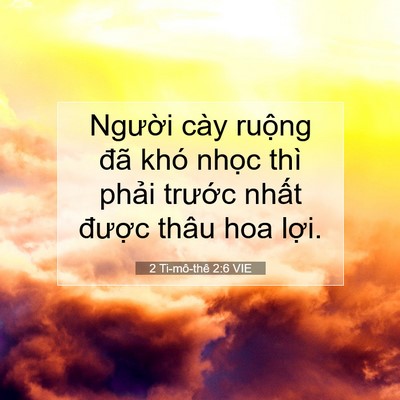 Picture 07 - 2 Ti-mô-thê 2:6 VIE - Người cày ruộng đã khó nhọc thì - Bible Verse Picture