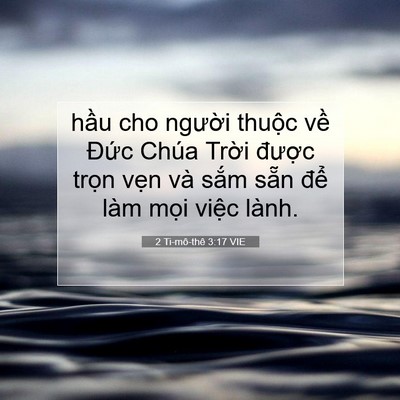 Picture 07 - 2 Ti-mô-thê 3:17 VIE - hầu cho người thuộc về Đức Chúa - Bible Verse Picture