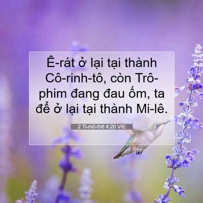Picture 07 - 2 Ti-mô-thê 4:20 VIE - Ê-rát ở lại tại thành Cô-rinh-tô, còn - Bible Verse Picture