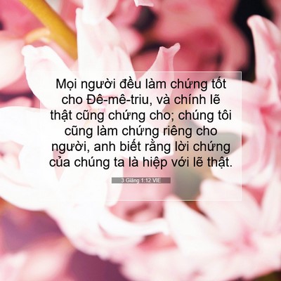 Picture 07 - 3 Giăng 1:12 VIE - Mọi người đều làm chứng tốt cho - Bible Verse Picture