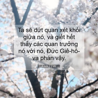 Picture 07 - A-mốt 2:3 VIE - Ta sẽ dứt quan xét khỏi giữa nó, và - Bible Verse Picture