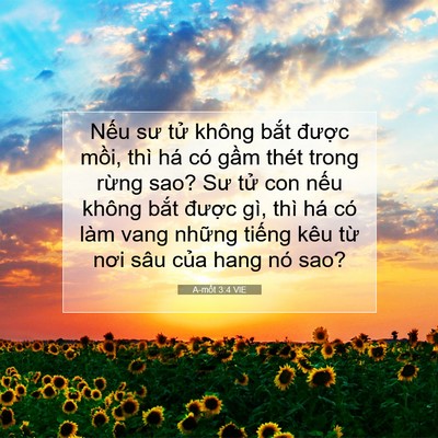 Picture 07 - A-mốt 3:4 VIE - Nếu sư tử không bắt được mồi, thì - Bible Verse Picture
