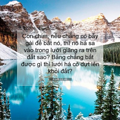 Picture 07 - A-mốt 3:5 VIE - Con chim, nếu chẳng có bẫy gài để - Bible Verse Picture