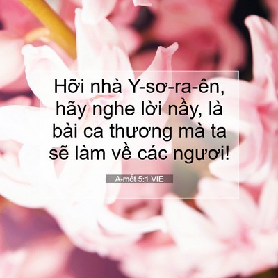 Picture 07 - A-mốt 5:1 VIE - Hỡi nhà Y-sơ-ra-ên, hãy nghe lời nầy, - Bible Verse Picture
