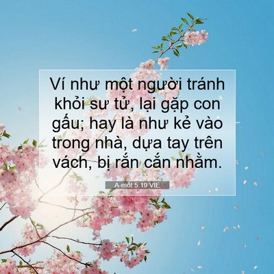 Picture 07 - A-mốt 5:19 VIE - Ví như một người tránh khỏi sư tử, - Bible Verse Picture