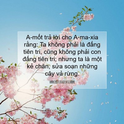 Picture 07 - A-mốt 7:14 VIE - A-mốt trả lời cho A-ma-xia rằng: Ta - Bible Verse Picture