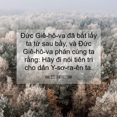 Picture 07 - A-mốt 7:15 VIE - Đức Giê-hô-va đã bắt lấy ta từ sau - Bible Verse Picture