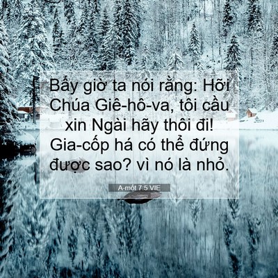 Picture 07 - A-mốt 7:5 VIE - Bấy giờ ta nói rằng: Hỡi Chúa - Bible Verse Picture